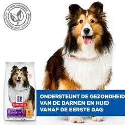 Hill's Science Plan - Canine Adult Sensitive Stomach & Skin