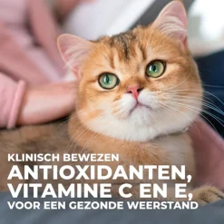 Hill's Science Plan Feline Adult Favourite Selection