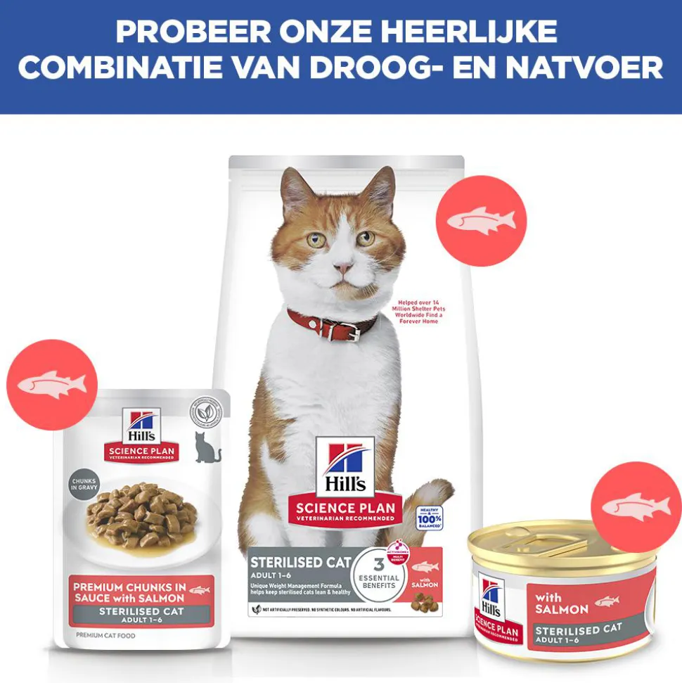 Hill's Science Plan Feline Sterilised Adult Premium Mousse - Zalm