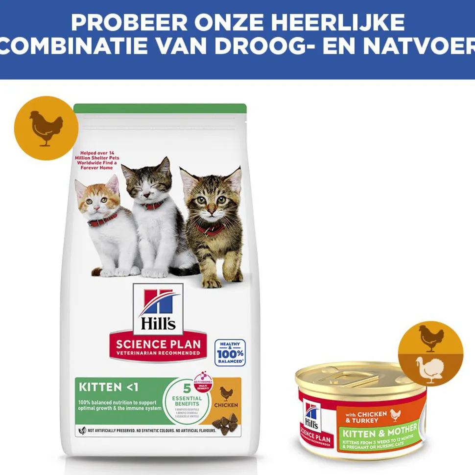 Hill's Science Plan Kitten & Mother Tender Mousse