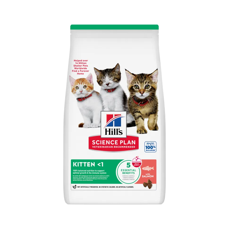 Hill's Science Plan - Kitten - Zalm