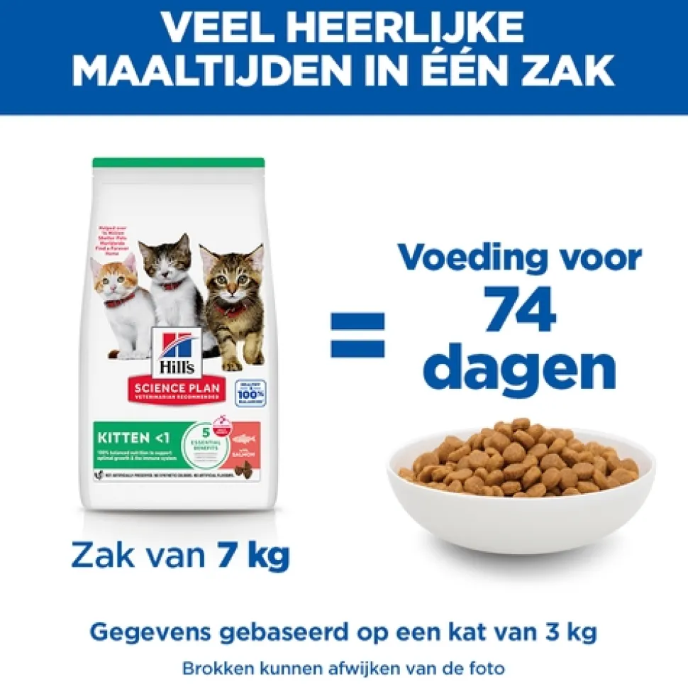 Hill's Science Plan - Kitten - Zalm