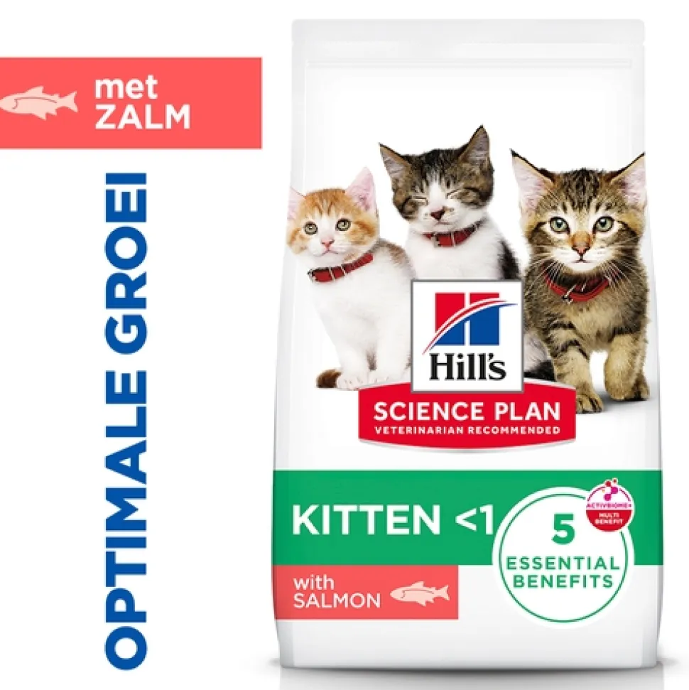 Hill's Science Plan - Kitten - Zalm
