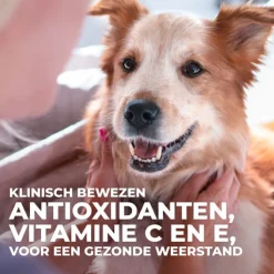 Hill's Science Plan - Large Breed - Adult - Kip