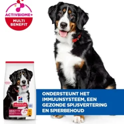 Hill's Science Plan - Large Breed - Adult - Kip