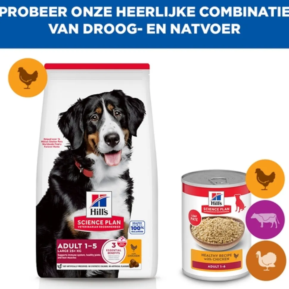 Hill's Science Plan - Large Breed - Adult - Kip