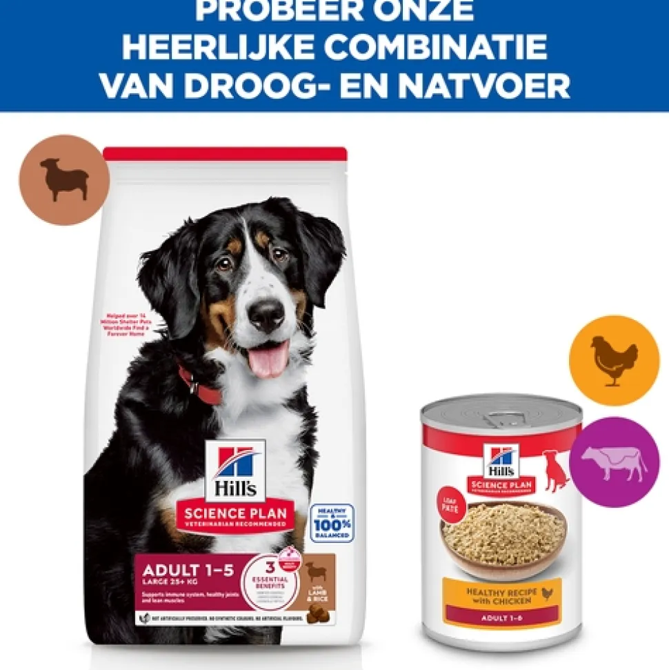 Hill's Science Plan Large Breed - Adult - Lam & Rijst