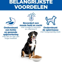 Hill's Science Plan Large Breed - Adult - Lam & Rijst