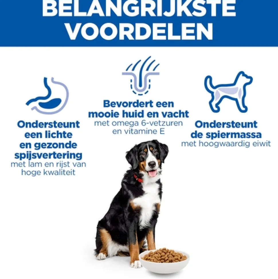 Hill's Science Plan Large Breed - Adult - Lam & Rijst