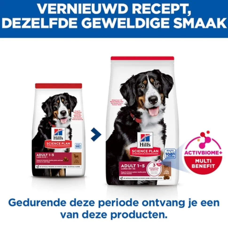 Hill's Science Plan Large Breed - Adult - Lam & Rijst