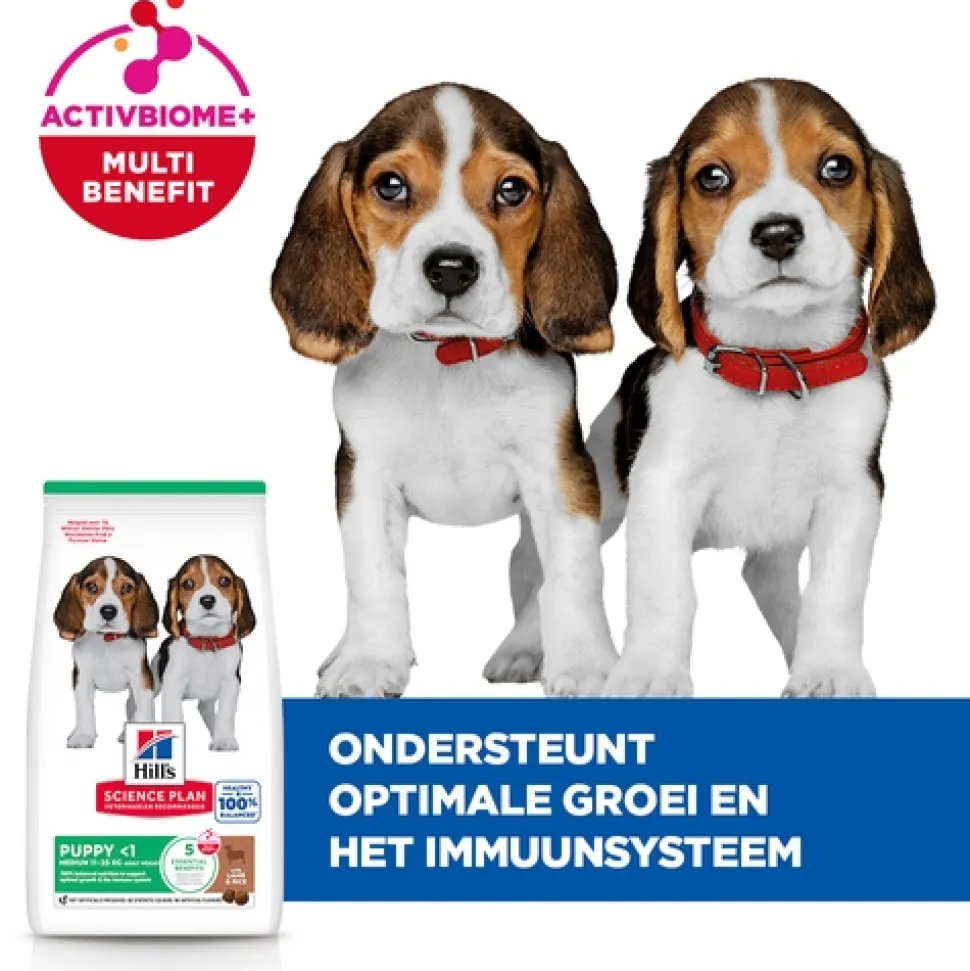 Hill's Science Plan - Puppy - Medium - Lam & Rijst