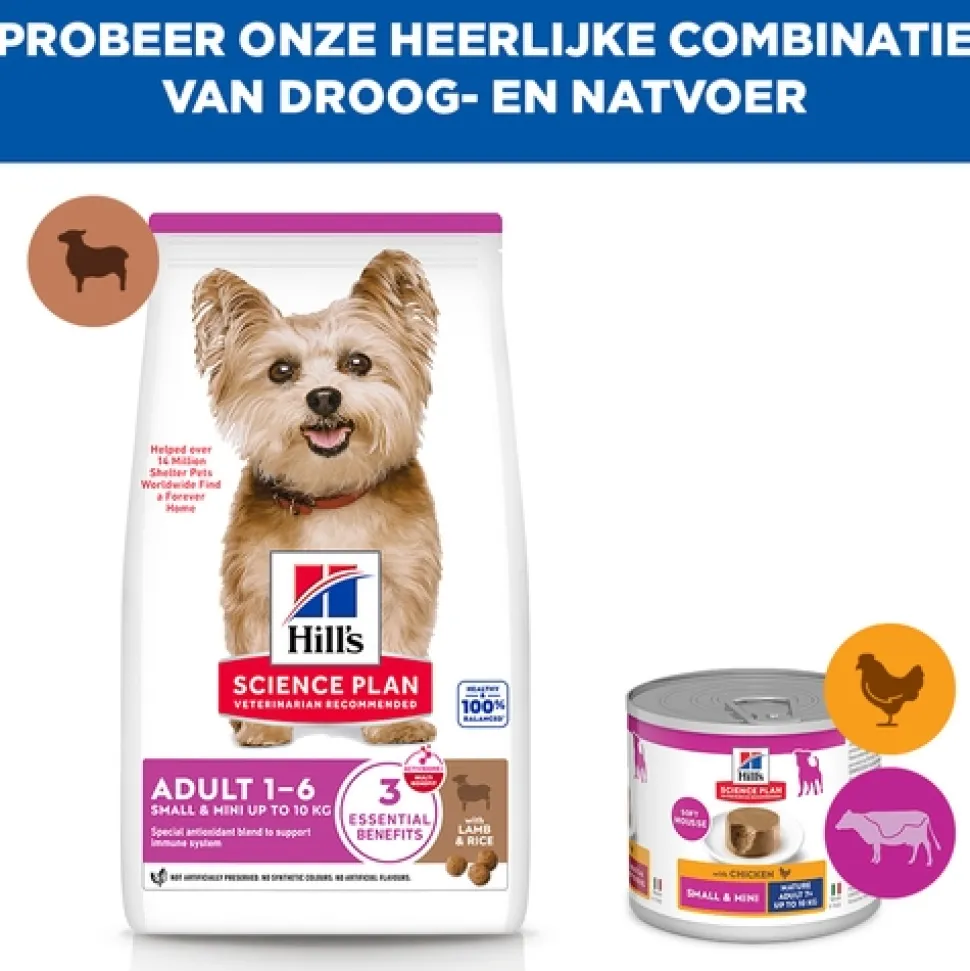 Hill's Science Plan Small & Mini - Adult - Lam en Rijst