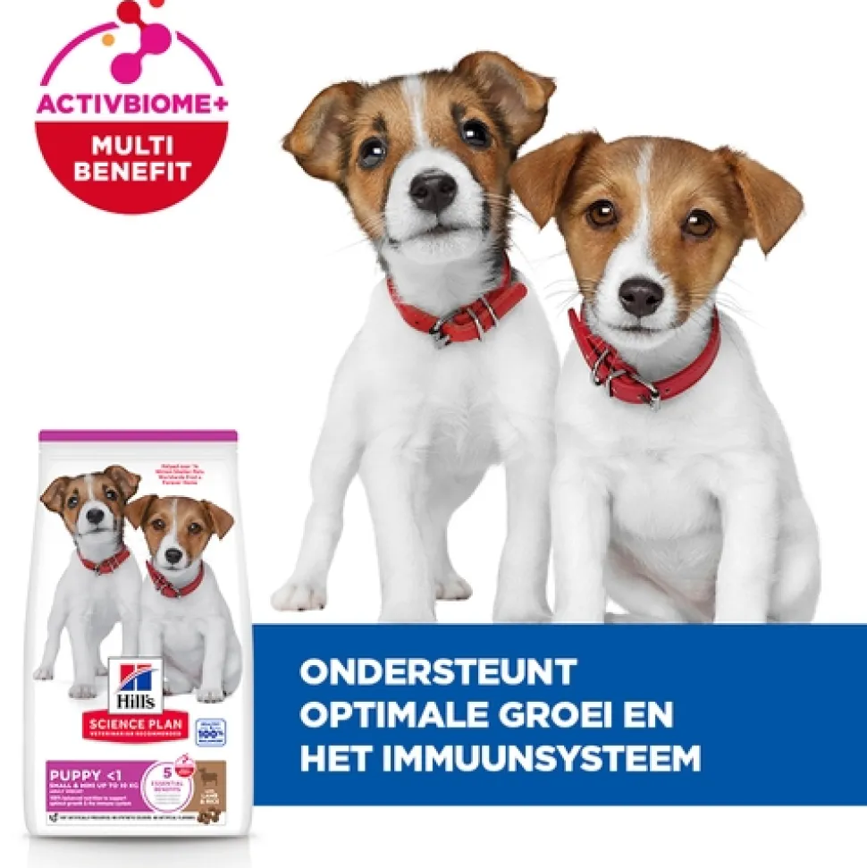 Hill's Science Plan Small & Mini - Puppy - Lam & Rijst