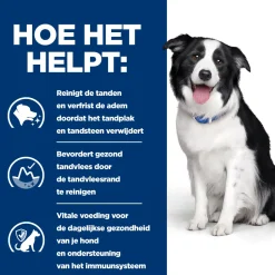 Hill's t/d Dental Care - Prescription Diet - Canine