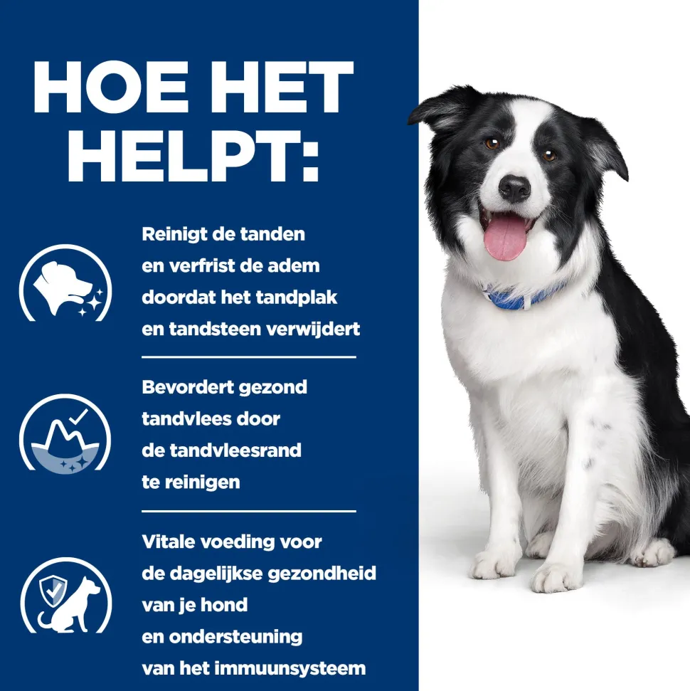 Hill's t/d Dental Care - Prescription Diet - Canine