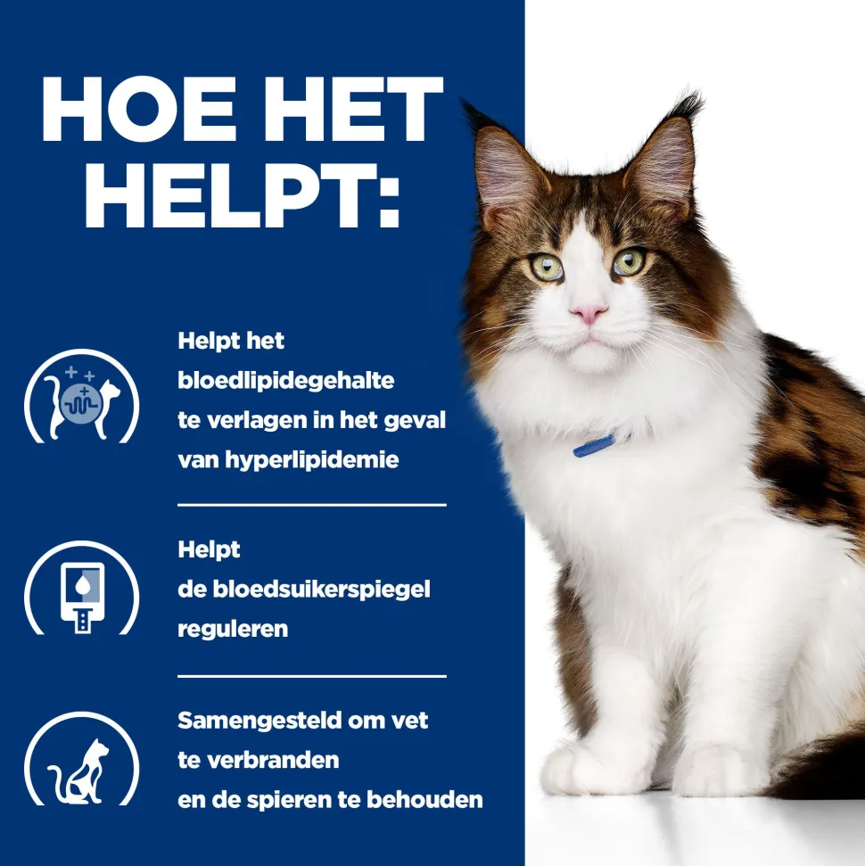 Hill's w/d Low Fat/Diabetes/Colitis - Prescription Diet - Feline