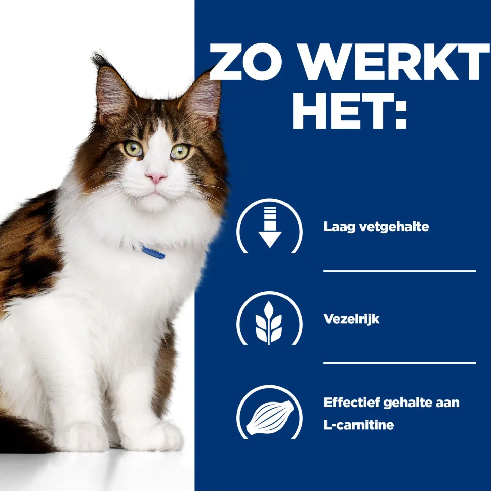 Hill's w/d Low Fat/Diabetes/Colitis - Prescription Diet - Feline