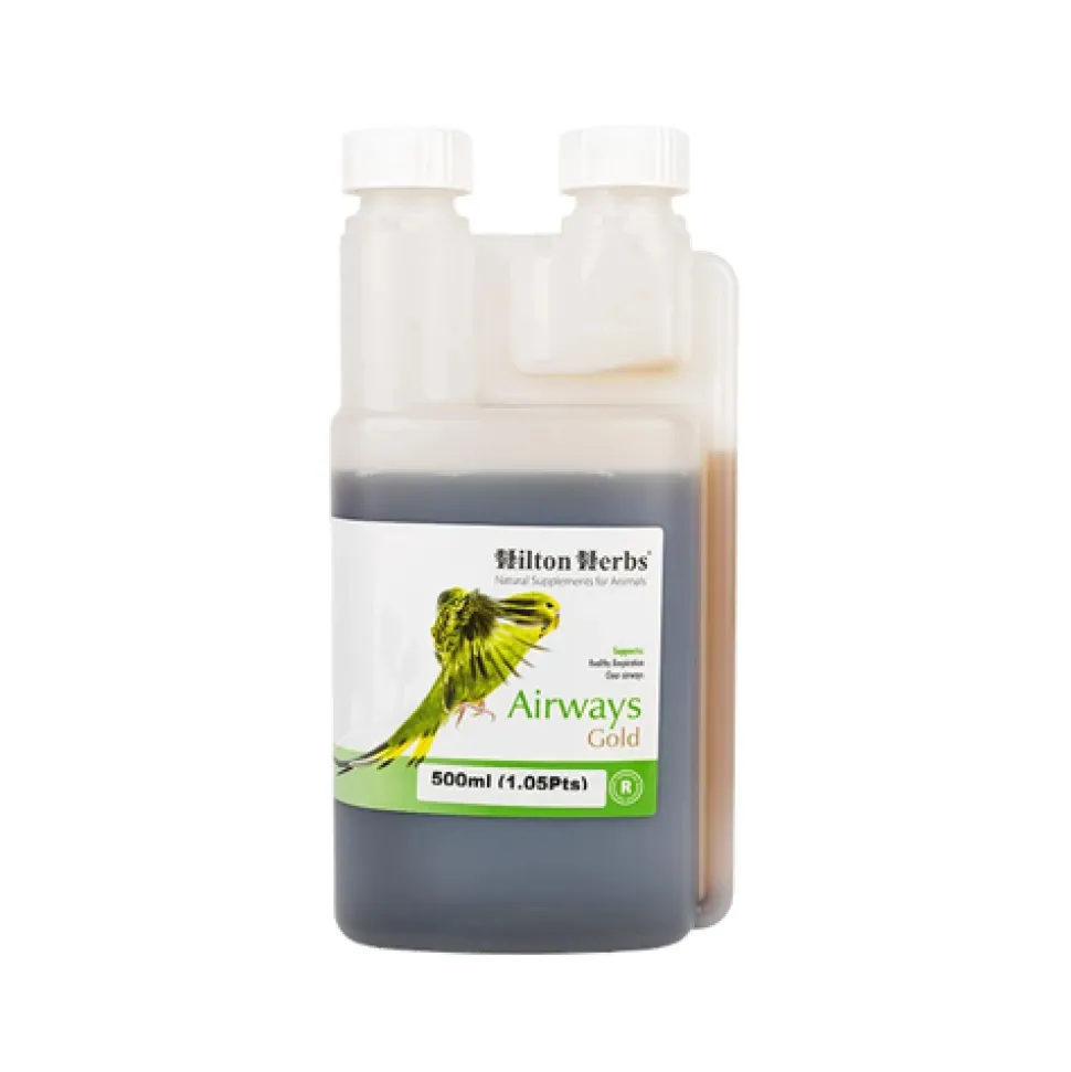 Hilton Herbs Airways Gold for Birds