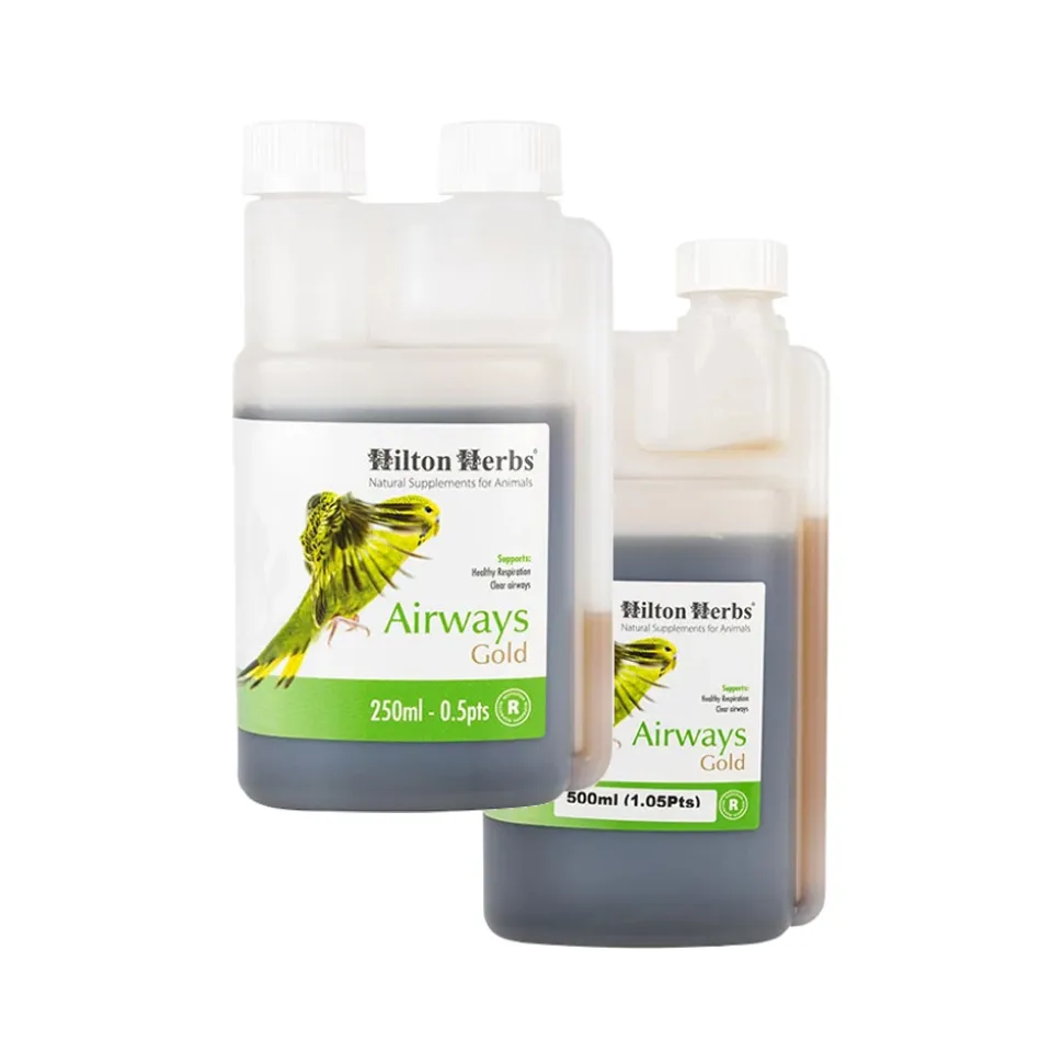 Hilton Herbs Airways Gold for Birds