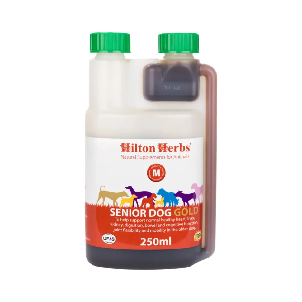 Hilton Herbs Senior Gold for Dogs