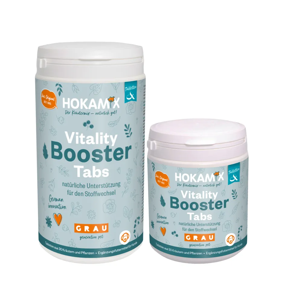 Hokamix Vitality Booster Tabletten