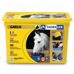 Horslyx Liksteen