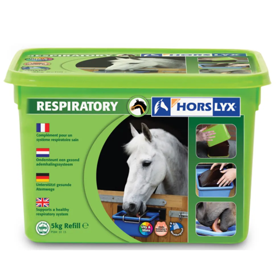 Horslyx Liksteen