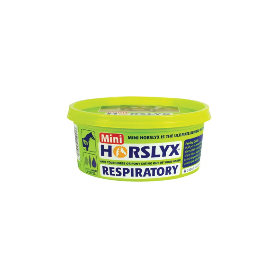 Horslyx Mini Liksteen