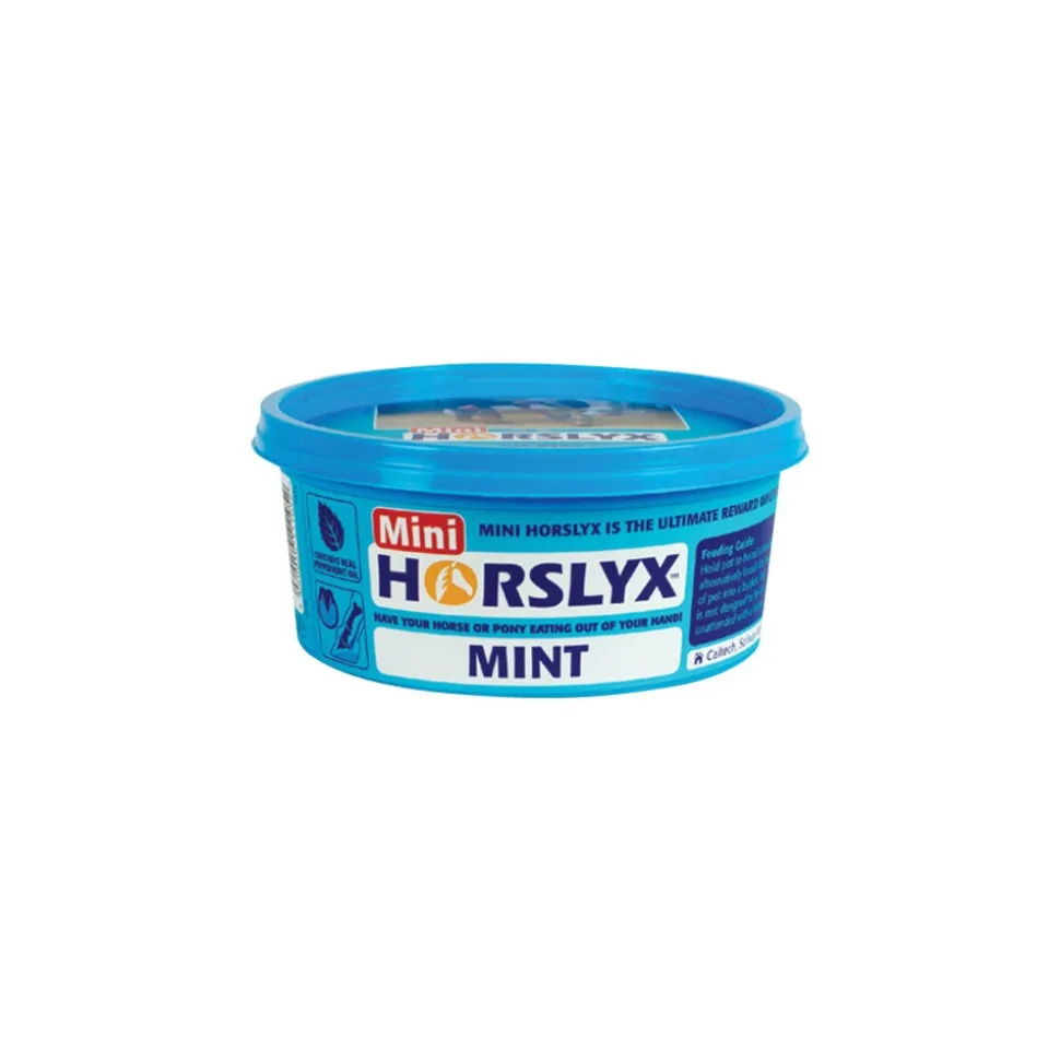 Horslyx Mini Liksteen