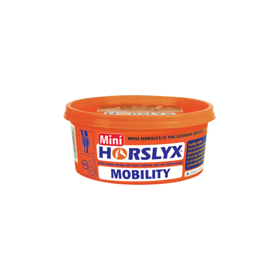 Horslyx Mini Liksteen