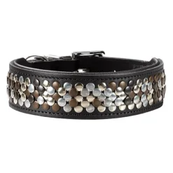 Hunter Halsband Arizona