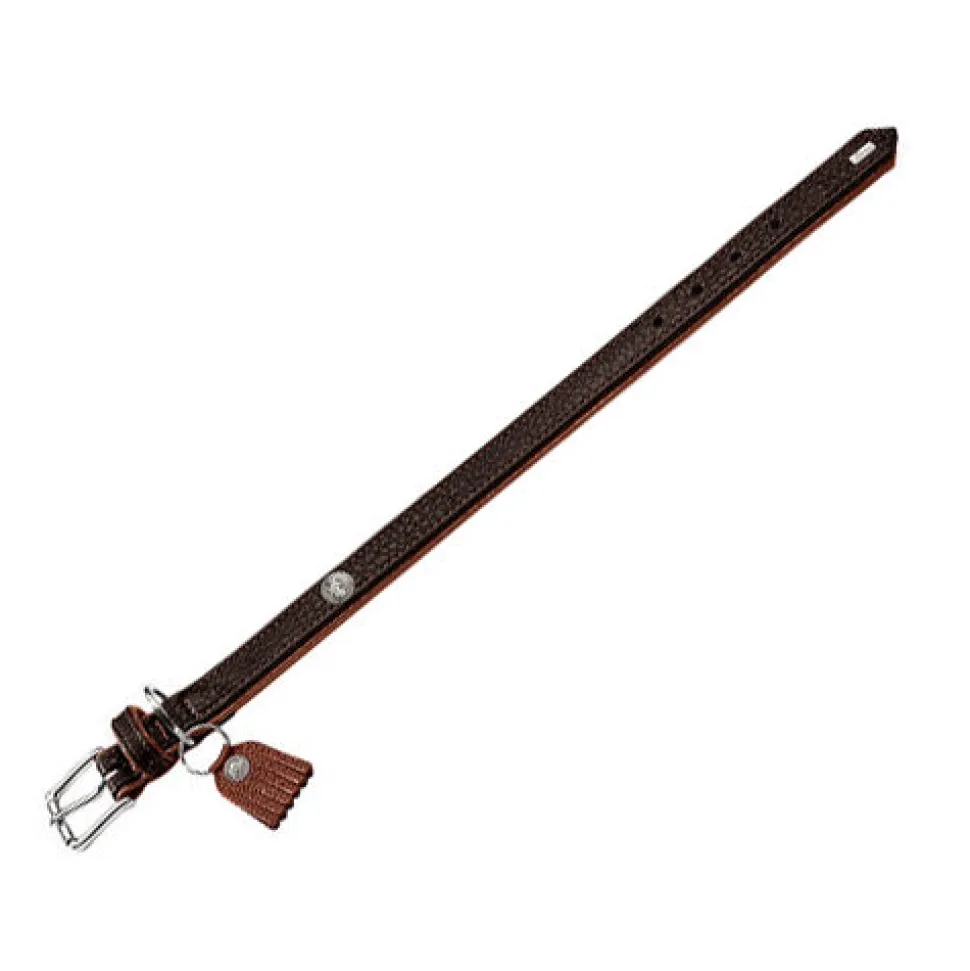 Hunter Halsband Cody