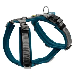 Hunter Harness Maldon