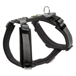 Hunter Harness Maldon