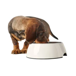 Hunter Melamine Voer- en Drinkbak - Wit