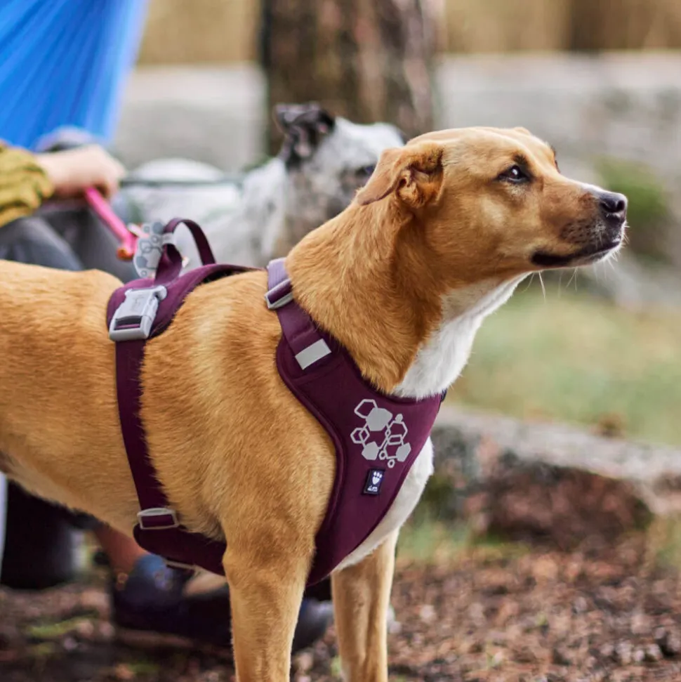 Hurtta Weekend Warrior Eco Harness 2