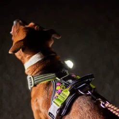 Hurtta Weekend Warrior Harnas - Neon Licorice
