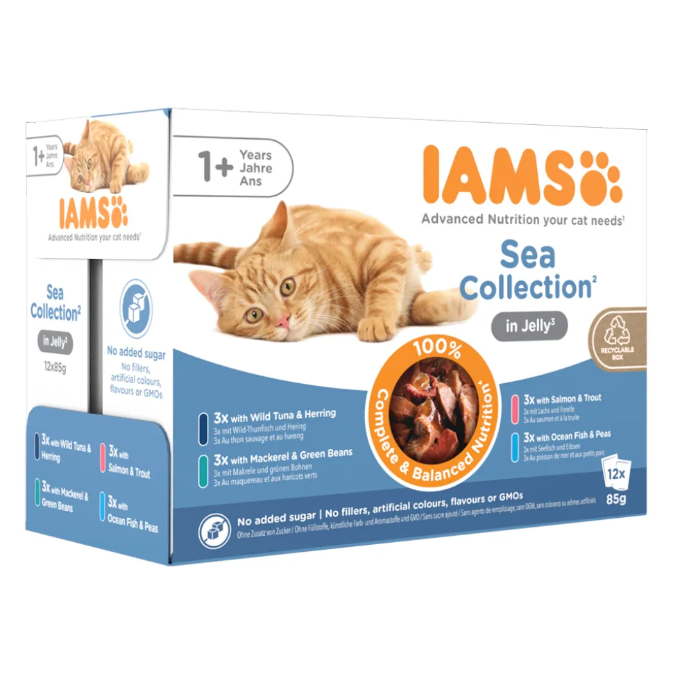 IAMS Delights Adult Cat Natvoer