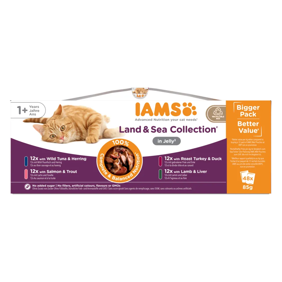 IAMS Delights Adult Cat Natvoer
