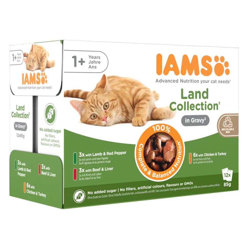 IAMS Delights Adult Cat Natvoer