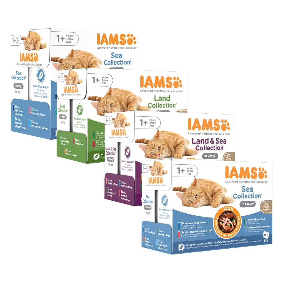 IAMS Delights Adult Cat Natvoer