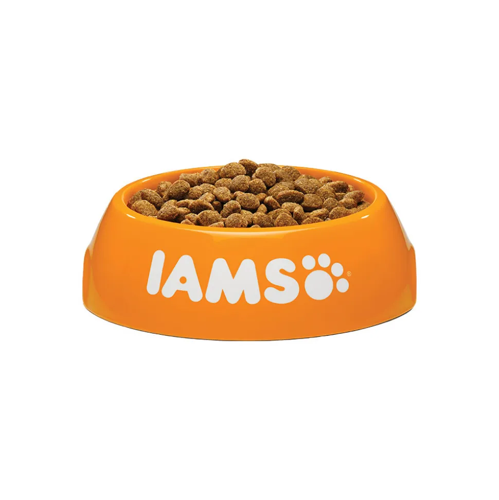 IAMS for Vitality Dog Mature & Senior