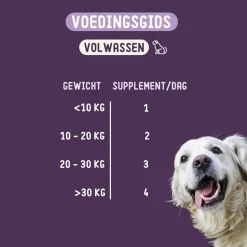 Imby Hip & Joint Hond
