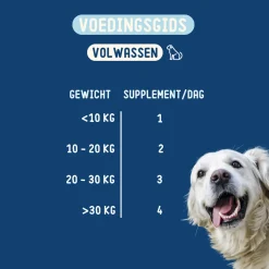 Imby Probiotics Hond