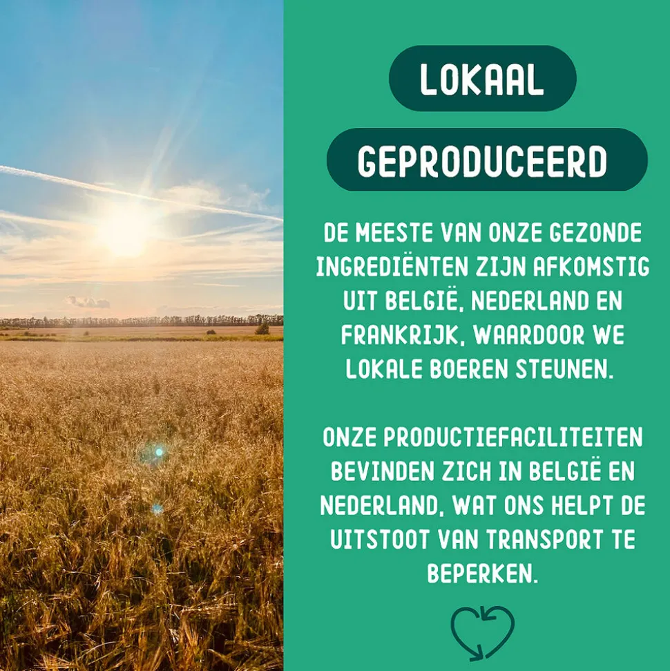 Imby Vegan Hondenvoer