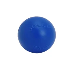 Jolly Push-n-Play Ball