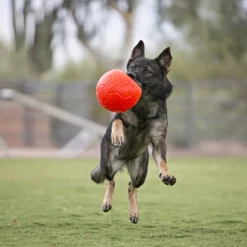 Jolly Soccer Ball