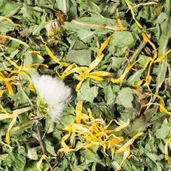JR Farm Ruwe Knaagdiersnack - Paardenbloemen