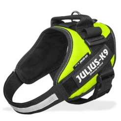 Julius K9 IDC Powertuig