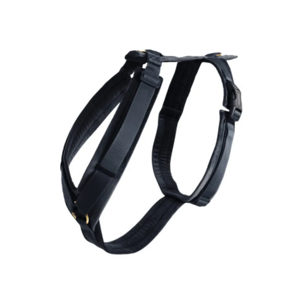 Kentucky Dog Harness Active Velvet